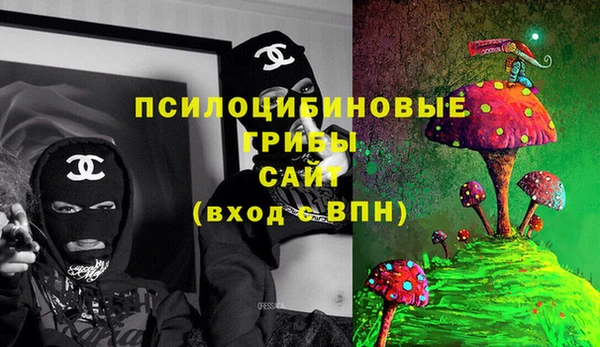 ешки Балахна