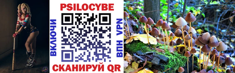 Псилоцибиновые грибы прущие грибы  Купить закладки  Кукмор 